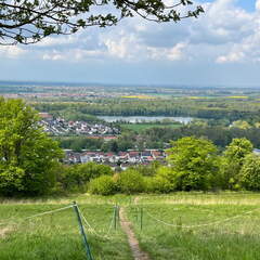 22-04-25 13-56-48 0633